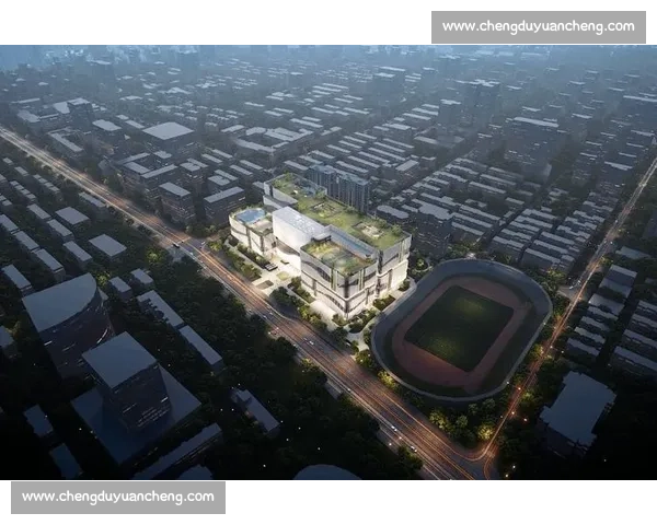 以体育文化建设为引领推动全民健身与城市精神融合发展的实践路径研究