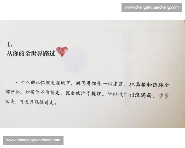 《聚焦小时光比赛：从赛场风云到背后故事的全方位探秘》