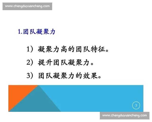篮球球队管理新模式探索：提升团队协作与战术执行力的关键策略